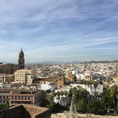 Panorama Malagi z katedrą i palmami. Idealne miejsce, by zobaczyć, co warto w Maladze.