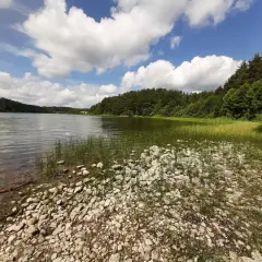 Piękny dzień nad jeziorem, idealne miejsce, by odpocząć i zastanowić się, co robić w Sulęczynie.