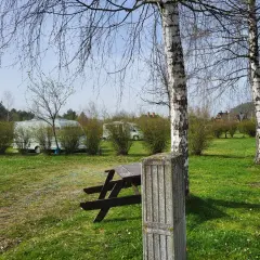 Piękna polana sosny zaprasza na camping. Widać przyczepy kempingowe, stoły i ławki, a także drzewa.