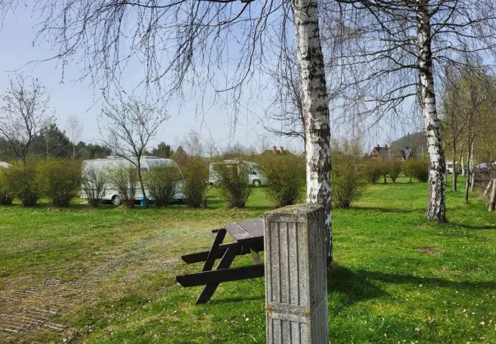 Piękna polana sosny zaprasza na camping. Widać przyczepy kempingowe, stoły i ławki, a także drzewa.