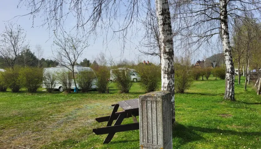 Piękna polana sosny zaprasza na camping. Widać przyczepy kempingowe, stoły i ławki, a także drzewa.