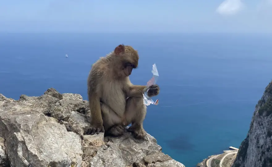 Gibraltar: Przewodnik po Skale, Małpach i Historii. Jak Zwiedzać?
