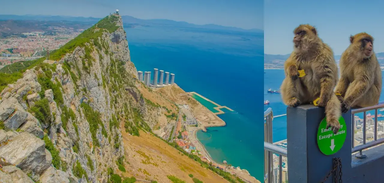 Dwa makaki siedzą na murku z widokiem na morze i miasto. W tle majestatyczny Rock of Gibraltar.