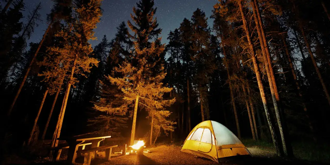 Nocne biwakowanie w lesie. Rozświetlony namiot, ognisko i ławka. Idealne miejsce, gdzie pod namiot Śląskie.