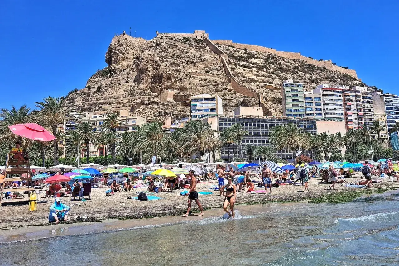 Alicante co zobaczyć: plaża z palmami i ludźmi, w tle góruje zamek Santa Barbara.