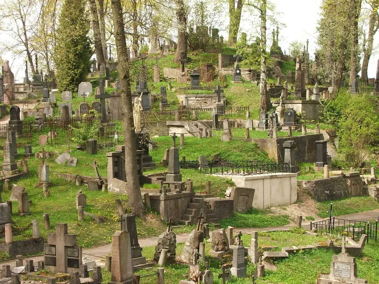 Wzgórza Cmentarza na Rossie porośnięte zielenią, z licznymi nagrobkami, krzyżami i drzewami.