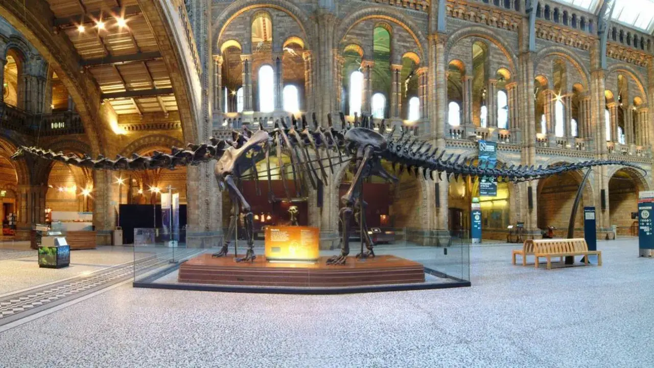 Szkielet dinozaura w holu muzeum historii naturalnej w Londynie. Monumentalna architektura i prehistoryczne zwierzę tworzą niezwykłą atmosferę.